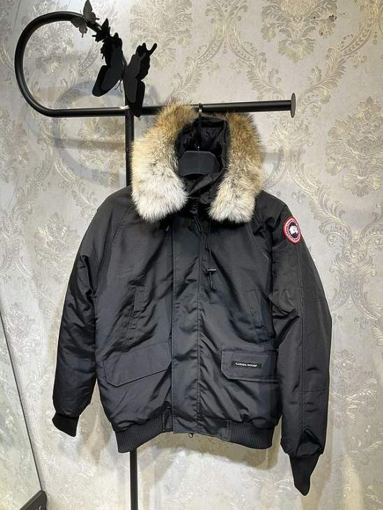 Picture of Canada Goose Down Jackets _SKUCanadaGooseS-2XL26yr4037891